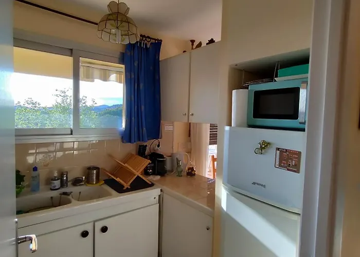 Joli Avec Terrasse Et Garage, Vue Sur Collines Le Lavandou